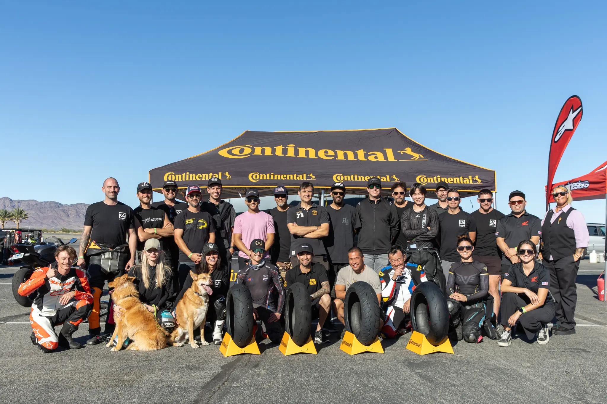 Professional service